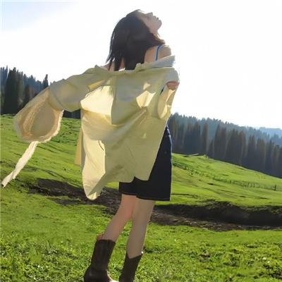 速度与激情8海报